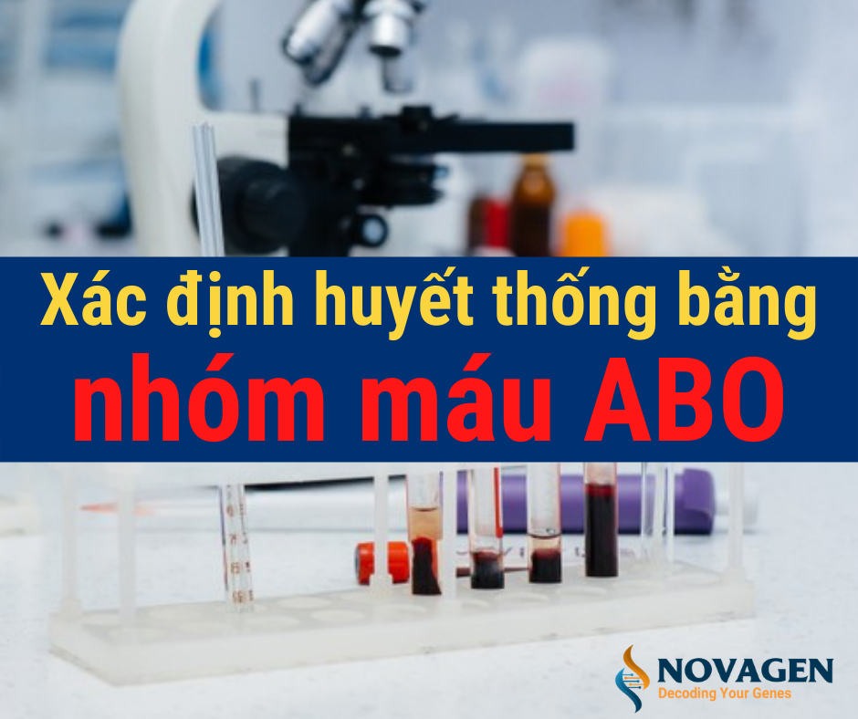 Sơ đồ di truyền nhóm máu ABO có như thế nào?