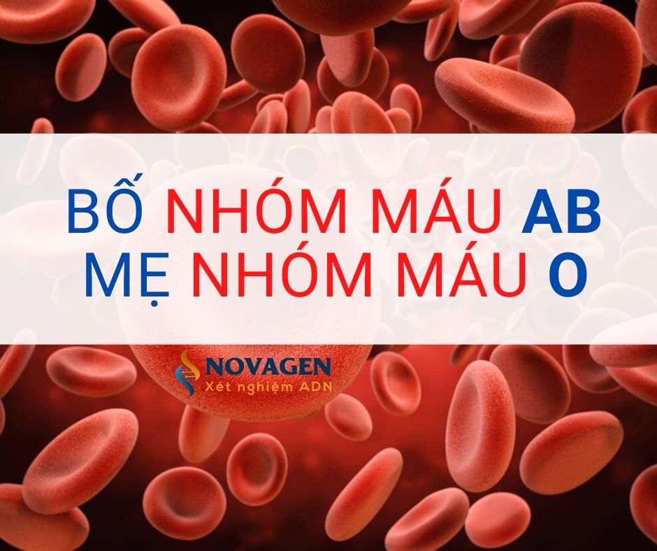 Nhóm máu nào có khả năng xuất hiện khi bố có nhóm máu A và mẹ có nhóm máu AB?

