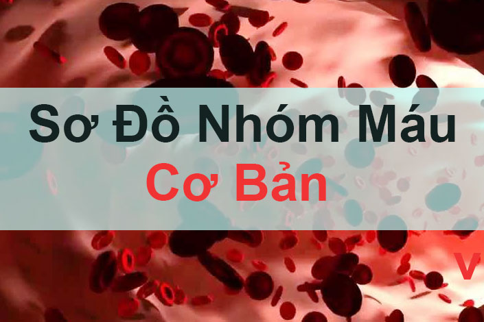 Nhóm máu A có chứa kháng nguyên gì trên tế bào hồng cầu và kháng thể gì trong huyết tương?
