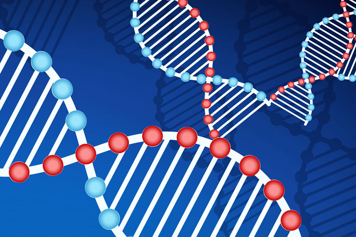 Tìm hiểu bản đồ gen người là gì và cách sử dụng nó để nghiên cứu về di truyền học